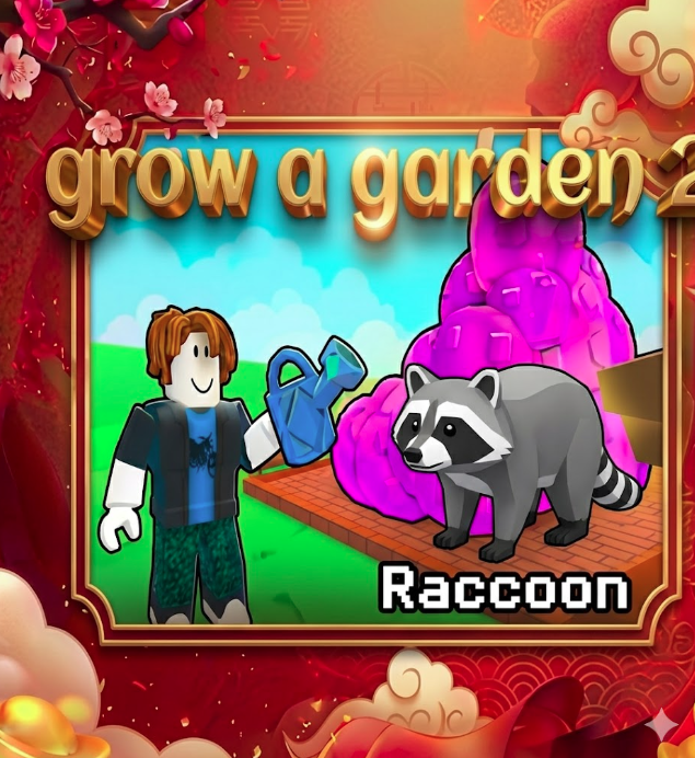 3 raccon